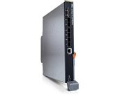 Dell 8/4 Gbps FC Pass-Through Module